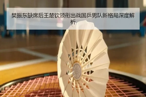 樊振东缺席后王楚钦领衔出战国乒男队新格局深度解析